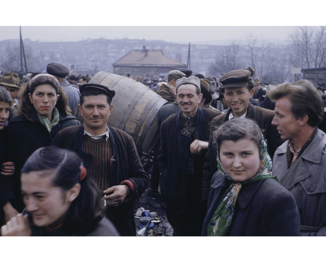 FOTOGRAFIJE SA PIJACE U BEOGRADU 1953. GODINE